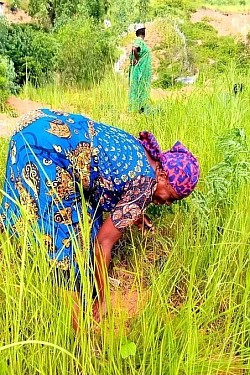 Action pour l'Environnement mondiale