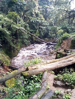 La nature devrait être protégé par nous